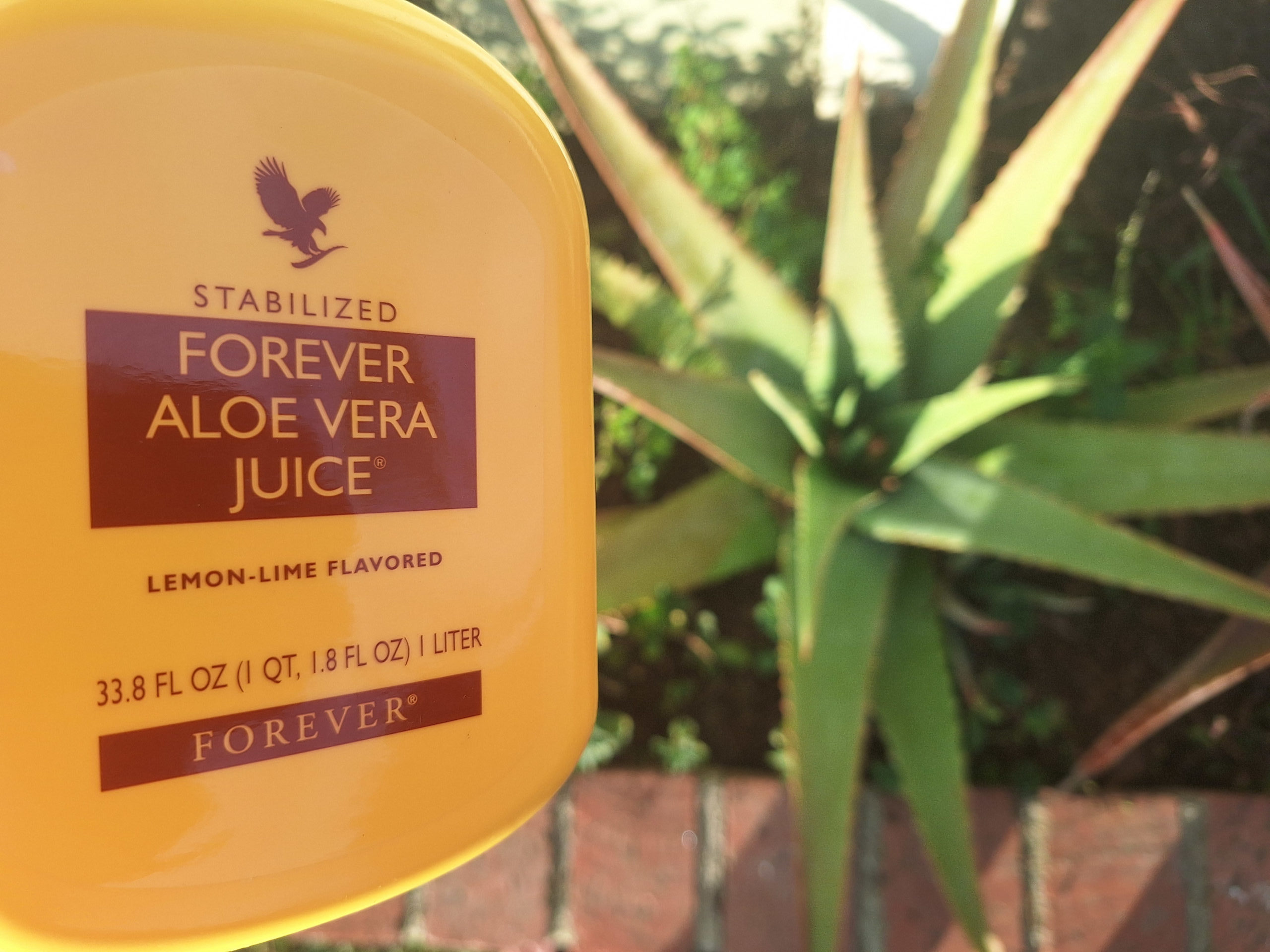 Title: The Last Algorithm